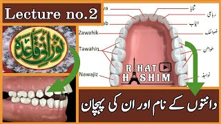 Noorani Qaida | Names of teeth | دانتوں کے نام | Lecture no. 2 | Makhraj | Recite Quran | Tajweed | screenshot 5