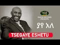 Tsegaye Eshetu - Yaye Ale - ፀጋዬ እሸቱ - ያየ አለ - Ethiopian Music