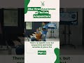 SUPPORTING IMMUNE BALANCE FOR ZIKA AWARENESS | TheTole Acupuncture