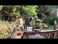 My Thursday Morning Wet Bird &amp; Squirrel Edition Livestream