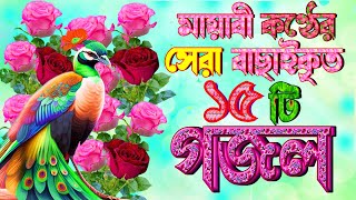 সবারেই পছন্দের সেরা 15 টি গজল |বাংলা গজল |Selected Gajal |New Bangla Gajal |Islamic Gazal |Ghazal