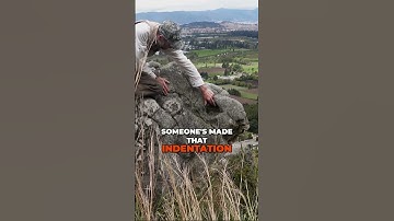 Giant Ancient Bird Unearthed!