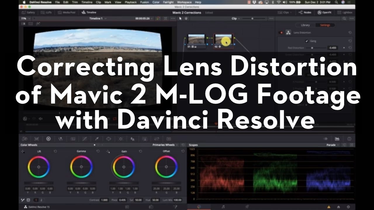 Fancy gjorde det næve Editing and Correcting Mavic 2 Pro Footage with Davinci Resolve - YouTube