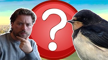 SECRET THEME CHALLENGE AGAINST @GeographyChallenges!  w/@Hamfrags