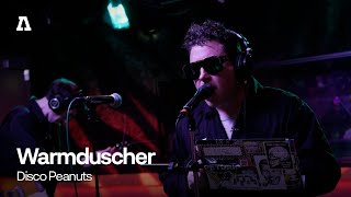 Warmduscher - Disco Peanuts | Audiotree Live