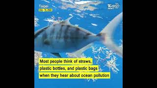Plastic waste in the ocean will be heavier than the total weight of fish by 2050 #shorts @TVBSNEWS01