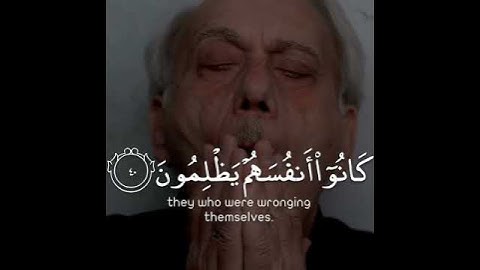 وماكان الله ليظلمهم ولكن كانوا أنفسهم يظلمون || عبدالرحمن مسعد || سورة العنكبوت