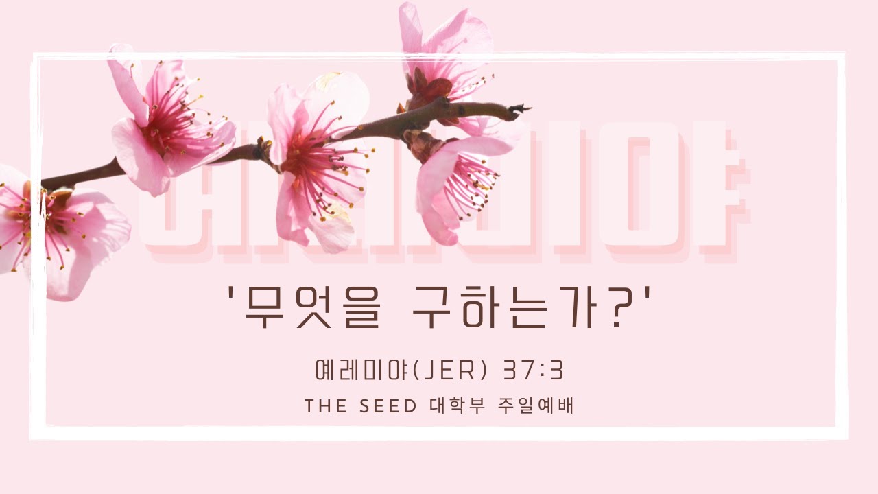 2024.4.14 주님의 교회 대학부 Livestream Worship Service