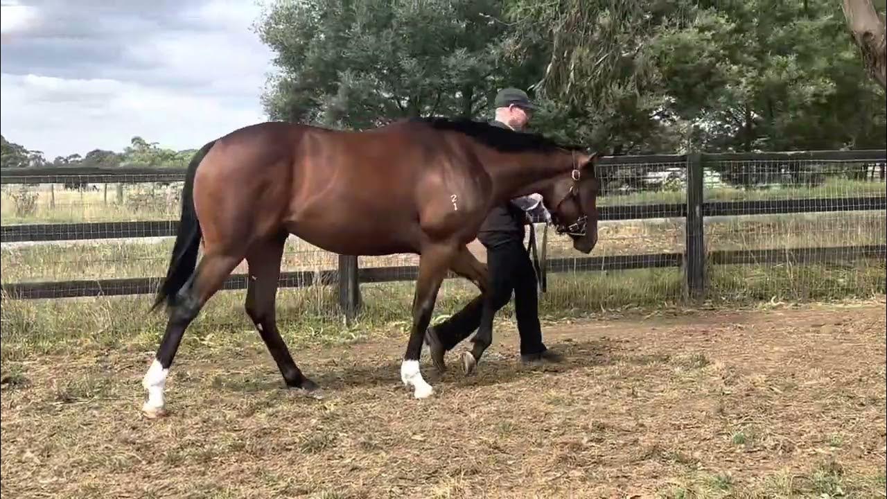 Lot 10 Safeguard x Castle Keep YouTube