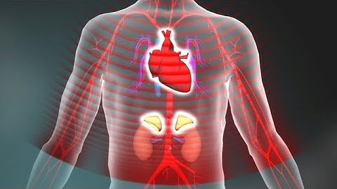 Toxic Stress Derails Healthy Development