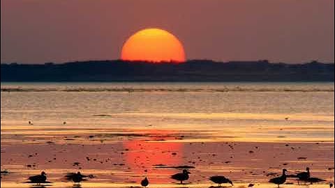 سورة نوح بصوت القارئ أيمن عبد السلام