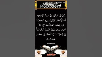 سورة البقرة الآية 248 بصوت الشيخ فارس عباد برواية حفص #القرآن_الكريم #duet #المصحف #viral #اكسبلور