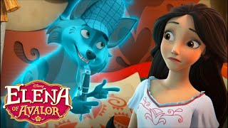 Zuzo Knows Why Elena's Dream Came True | Elena of Avalor | Dreamcatcher (HD)