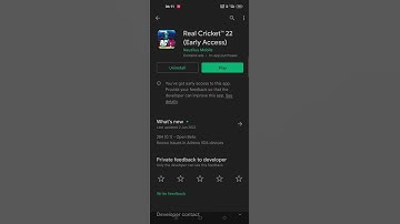 Real cricket 22 play Store show