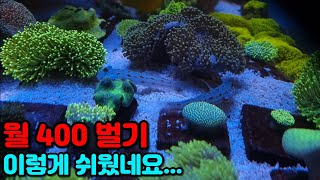 딱 어항 1개로 월 400만원 버는 쉬운 방법.(현타 주의)