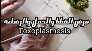 احذري مرض القطط يسبب الاجهاض Toxoplasmosis Igg&Igm