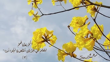 سوره الكهف ٩-١٣ || AlKahf 9-13