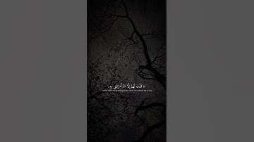 اكتب شيء تؤجر عليه 🤍القارئ ياسر الدوسري 🤍 #quran #كرومات_قرآن #شاشه_سوداء #أرح_قلبك #راحة_نفسية 🥹