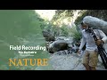 Field recording nature