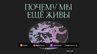 Я все вижу: как мы научились пересаживать искусственный хрусталик глаза | Подкаст Почему мы еще живы