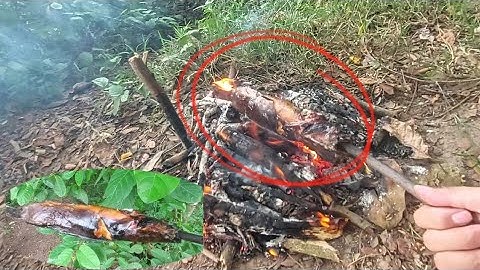 TSon Vlog | Buổi Đi Câu Cá Vô Mánh Bầy Cá Chốt. Kèm Cá Nướng Vàng Ươm. #tsonvlog #fishing