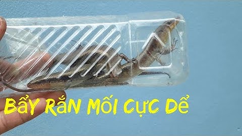 Làm bẩy rắn mối cực dể rắn mối nướng muối ớt ăn cực phê / san va bat