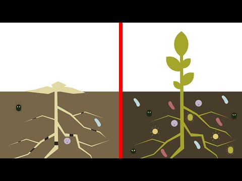 Video: Het Synergetische Effect Van Calcium Op De Opslag Van Organische Koolstof In Ferrihydriet