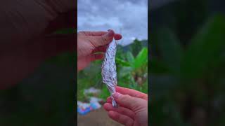 Entertainment Channel Special Grilled Chicken Feet