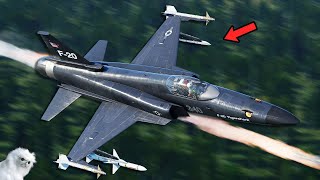 They Finally Did It | F-20 Tigershark (ft. @WalvisYT )