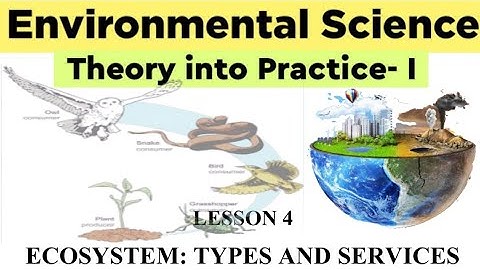 Lesson 4: Ecosystem: Types and Services || ENVIRONMENTAL SCIENCE:THEORY INTO PRACTICE I