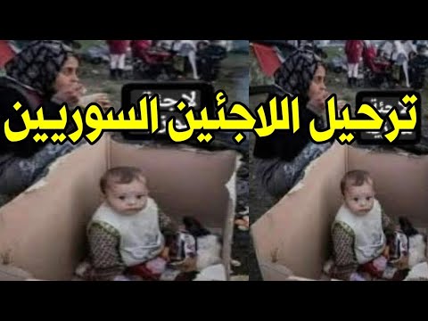 بدء ترحيل اللاجئين السوريين من مصر المستثمرين السوريين