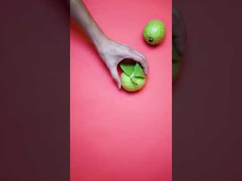ما فوائد ورق الجوافه واهميته لعلاج السعال