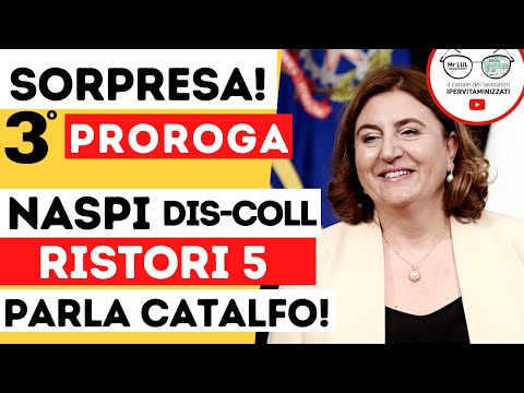 TERZA PROROGA NASPI e DIS-COLL NEL RISTORI 5...PARLA CATALFO!