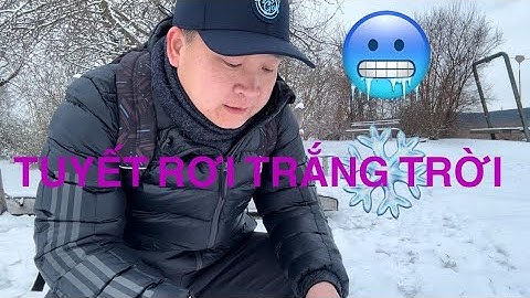 Tuyết rơi trắng trời ngày mùa đông ở Đức