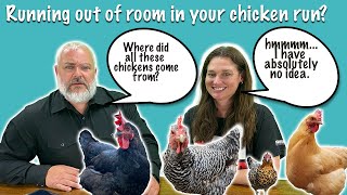 Video Chicken Live: Running Out of Room In Your Run?