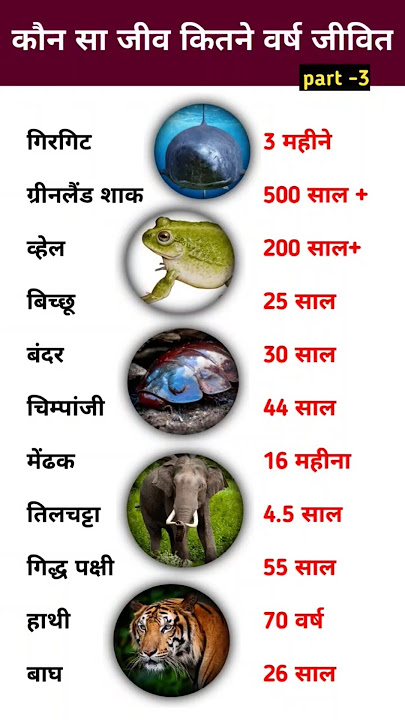 कौन सा जीव कितने वर्ष जीवित ||kaun sa jiv kitte varsh jivitrhte h || life cycle of animals #gk