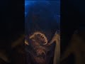 Demons short - created with Pikalabs (AI Beta)