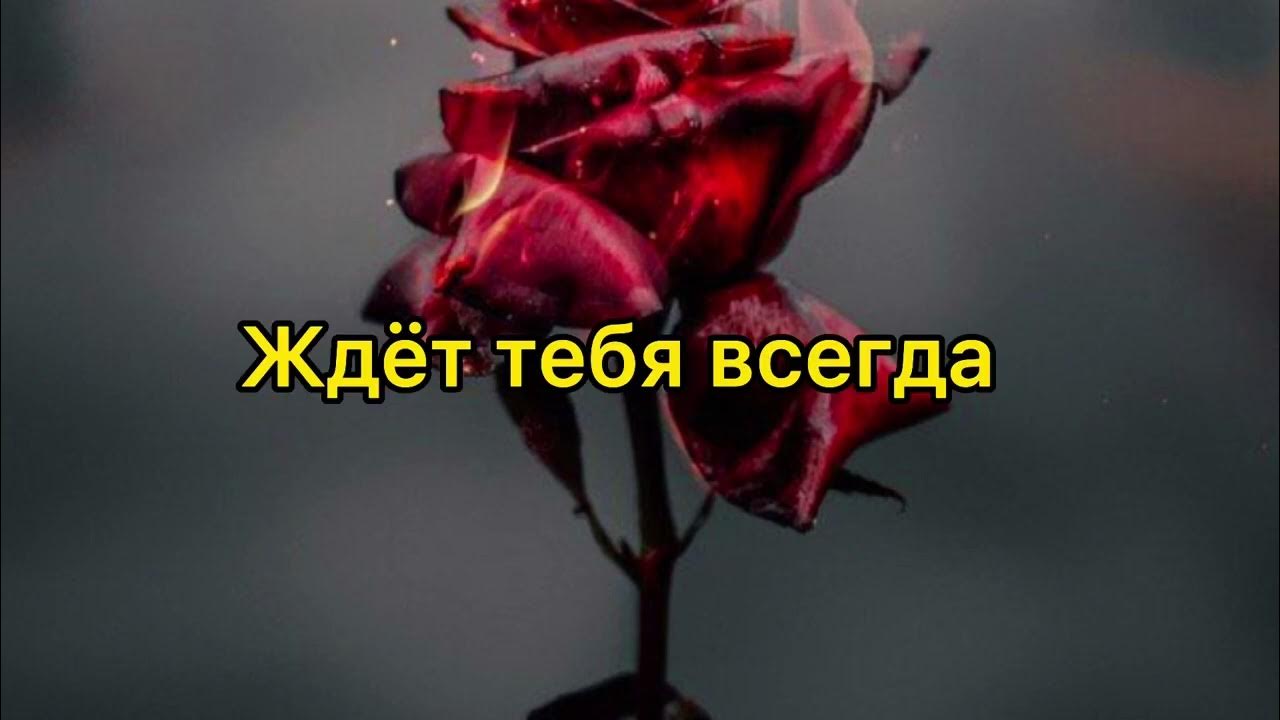 снова день снова ночь ютуб