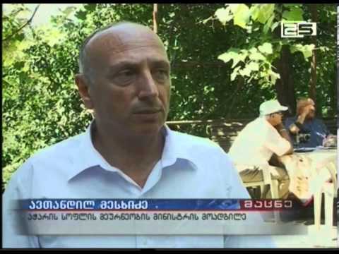 პროგრამა, რომელიც გლეხებს რეკომენდაციებს აძლევს