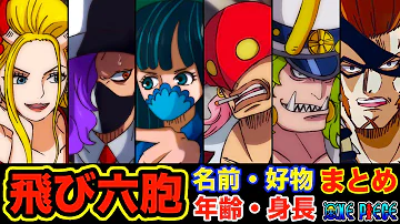 ワンピース 飛び六胞最強キャラランキング 飛び六砲 強さ比較 最新版 ワンピースネタバレ One Piece Mp3