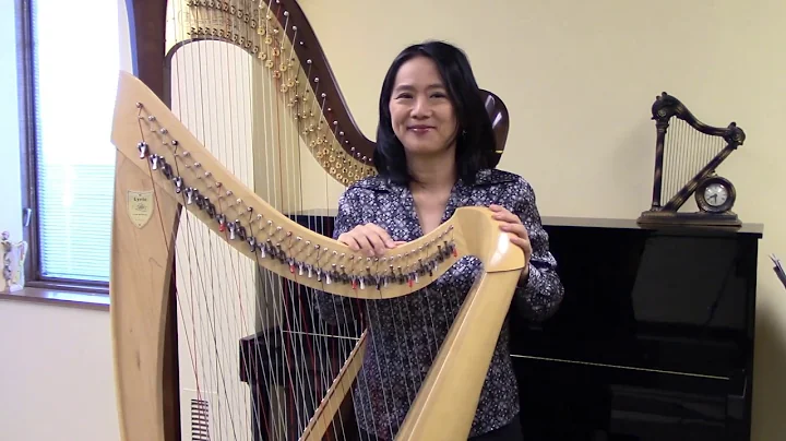 Harmonia Music Theory Lessons: Chords with Dr. Ann...