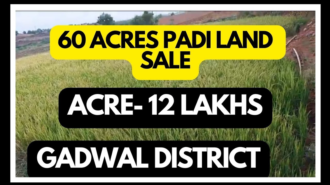 60 Acres padi land sale Acre 12 lakhs clear title Gadwal district