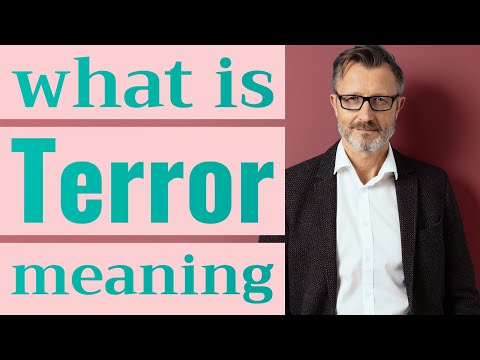 Terror | Meaning of terror