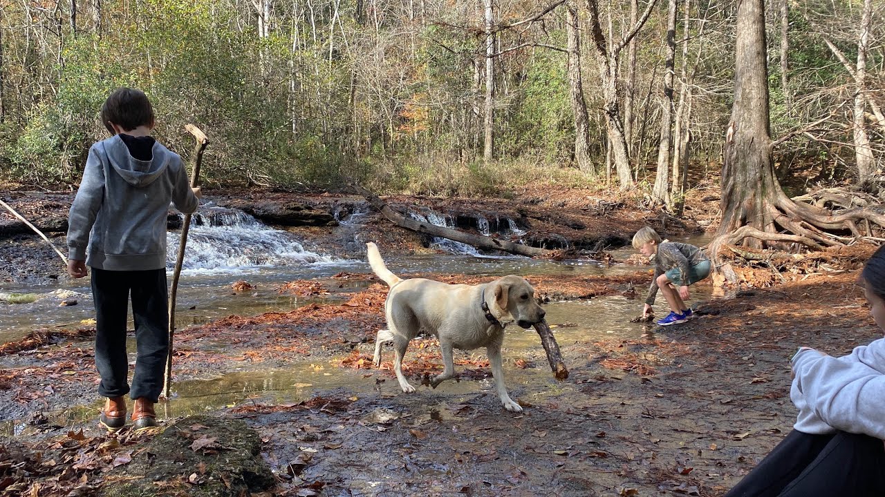 Hiking to a Hidden Waterfall in South Alabama to Find Some Old Fossils!