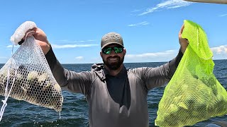 2025 Pasco County Scallop Opening Day Report
