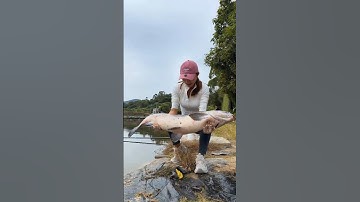 Em Gái xinh đi câu cá gặp đúng ông chủ hồ bống hách cói thường gái xinh #fishing #short