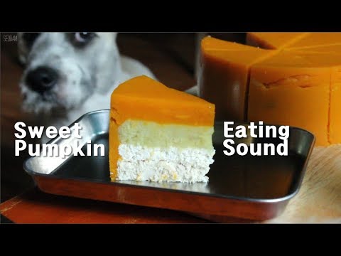 [Cooking ASMR] 강아지 단호박 케이크 만들기/For dogs Pumpkin cake/ 서담/ SEODAM