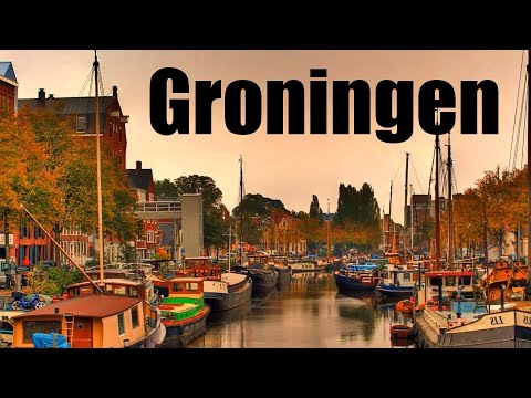 Video: Groningen-perderas Allergene, Gesondheid En Lewensduur