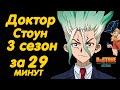 ДОКТОР СТОУН 3 СЕЗОН ЗА 29 МИНУТ