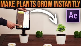 COMPOSITING: How to Make Plants Grow Instantly│After Effects VFX Tutorial